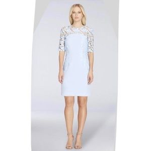 Tahari ASL Illusion Lace and Crepe Sheath Dress 18
